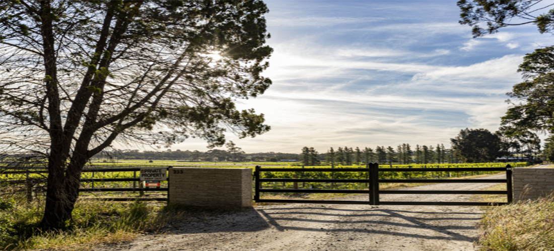 Winery front gates overlooking vineyard